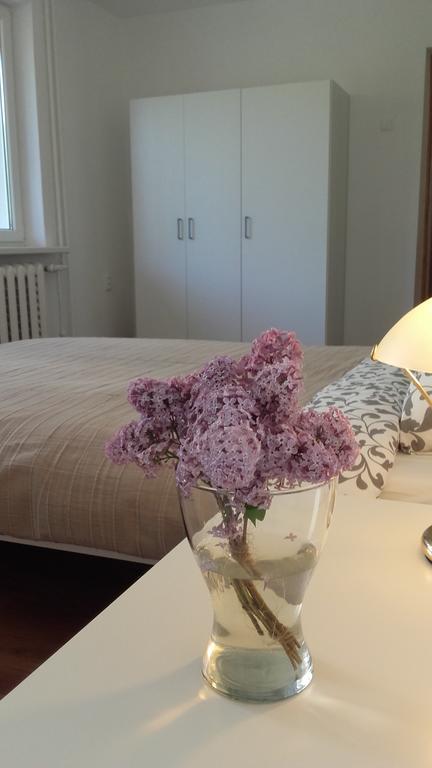 Trakai White Apartments Kültér fotó